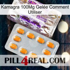 Kamagra 100Mg Gelée Comment Utiliser new12